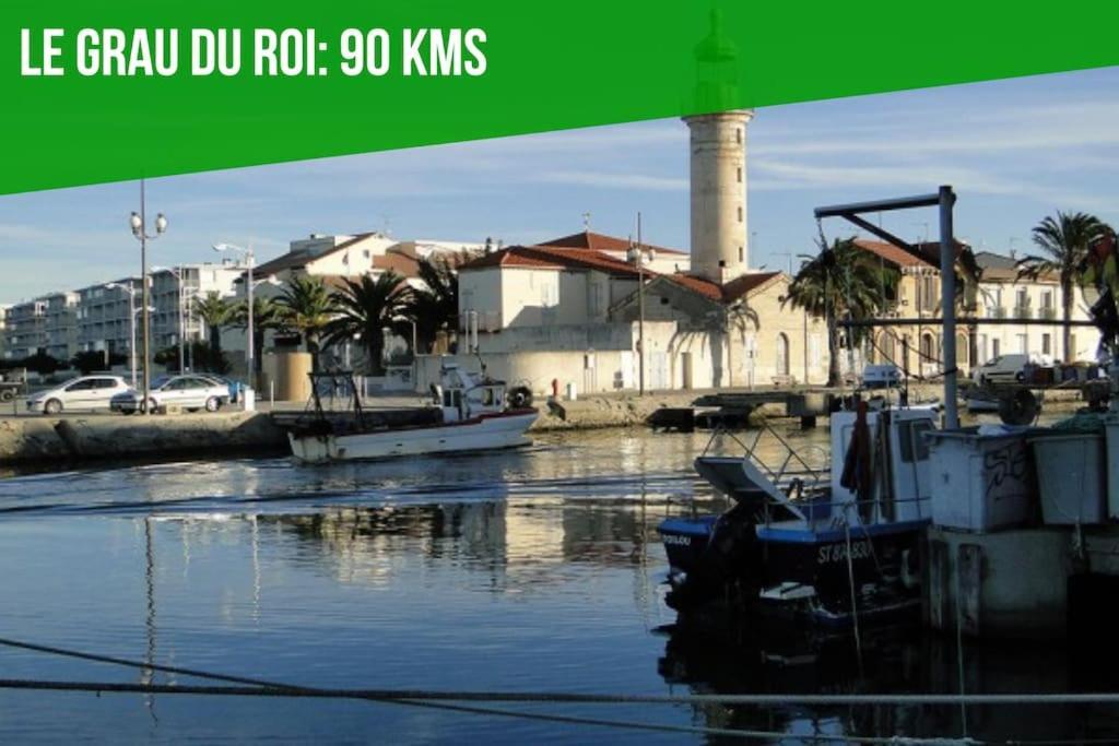 Le Saint-Laurent - Parking Gratuit - Terrasse - Wi-Fi Авиньон Екстериор снимка